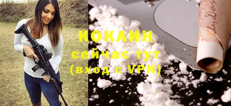 Cocaine Fish Scale  нарко площадка официальный сайт  Алапаевск 