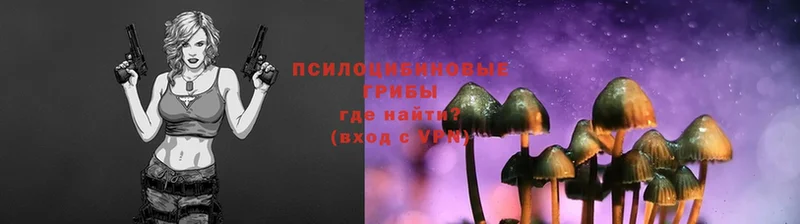 Галлюциногенные грибы Psilocybe  наркошоп  Алапаевск 